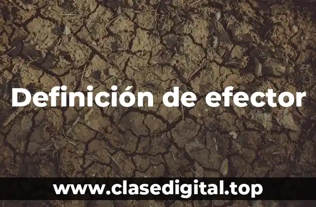 Definición de efector
