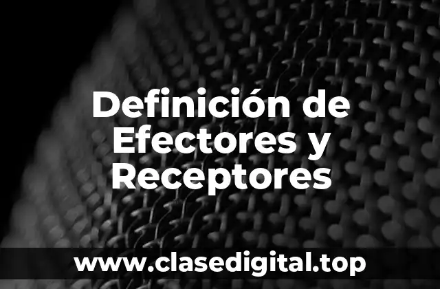 Definición de Efectores y Receptores