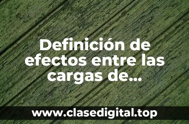 Definición de efectos entre las cargas de electricidad y magnetismos