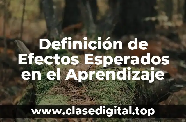 Definición de Efectos Esperados en el Aprendizaje