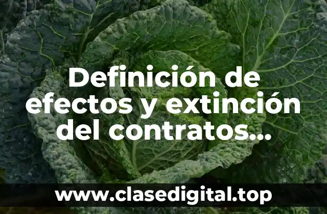 Definición de efectos y extinción del contratos administrativos