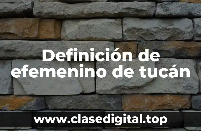 Definición de efemenino de tucán