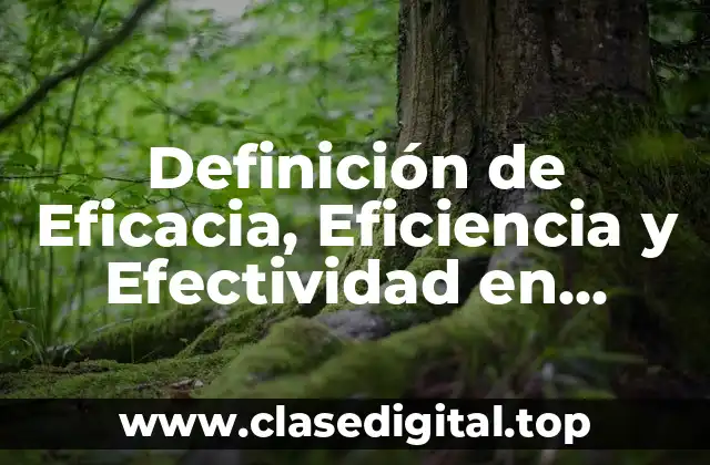 Definición de Eficacia, Eficiencia y Efectividad en Administración