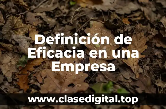 Definición de Eficacia en una Empresa