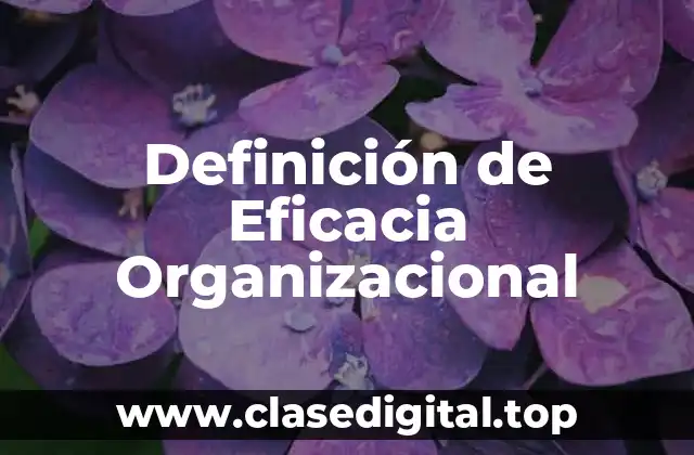 Definición de Eficacia Organizacional