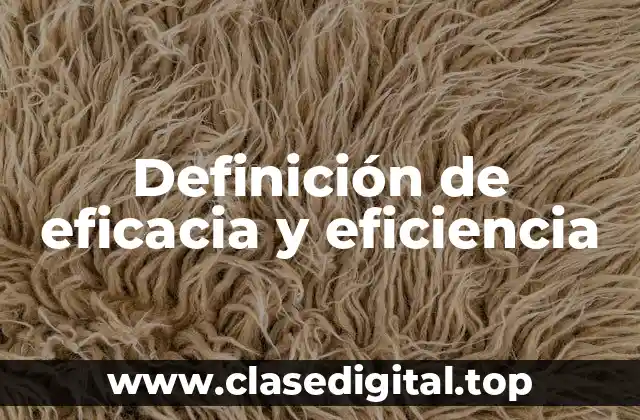 Definición de eficacia y eficiencia