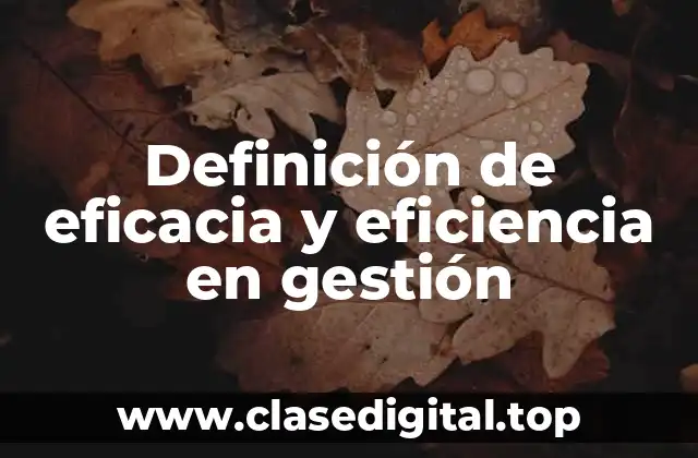 Definición de eficacia y eficiencia en gestión