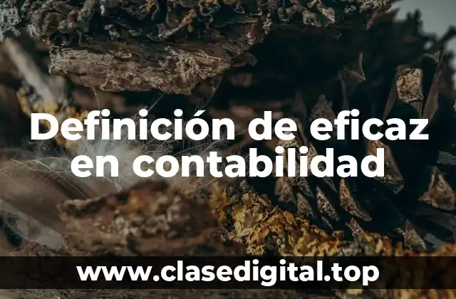 Definición de eficaz en contabilidad