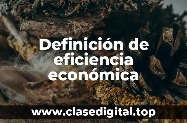 Definición de eficiencia económica