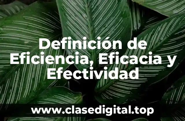 ✴️ Definición técnica de Eficiencia, Eficacia y Efectividad