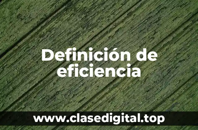 Ejemplos de eficiencia