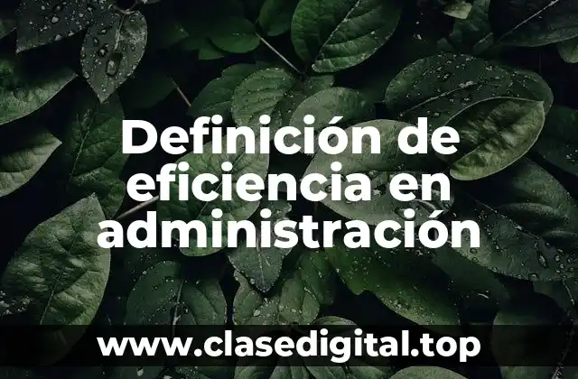 Definición de eficiencia en administración