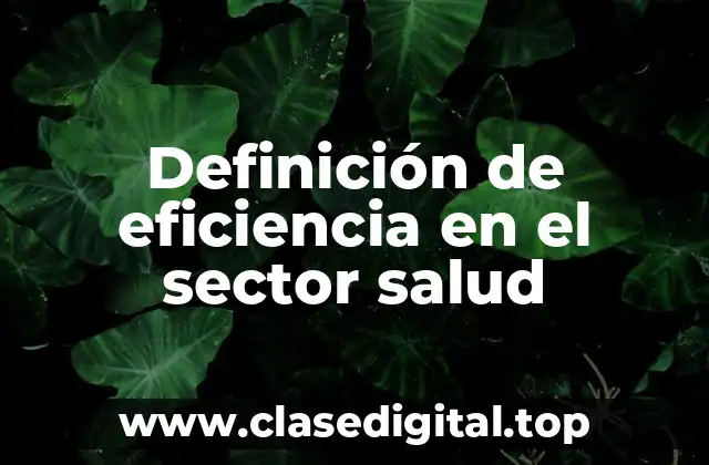 Definición de eficiencia en el sector salud