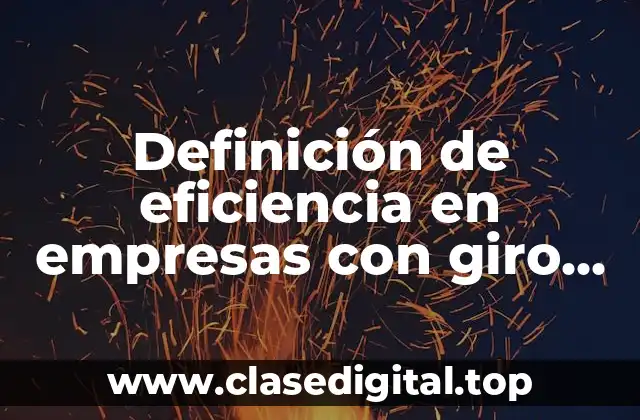 Definición de eficiencia en empresas con giro de producción