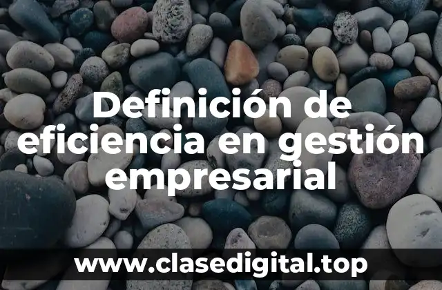 Definición de eficiencia en gestión empresarial