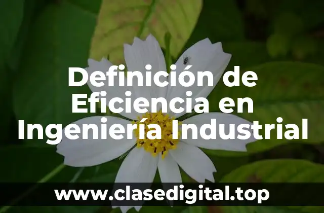 📗 Definición Técnica de Eficiencia en Ingeniería Industrial