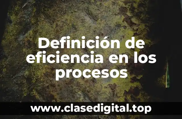 Definición de eficiencia en los procesos