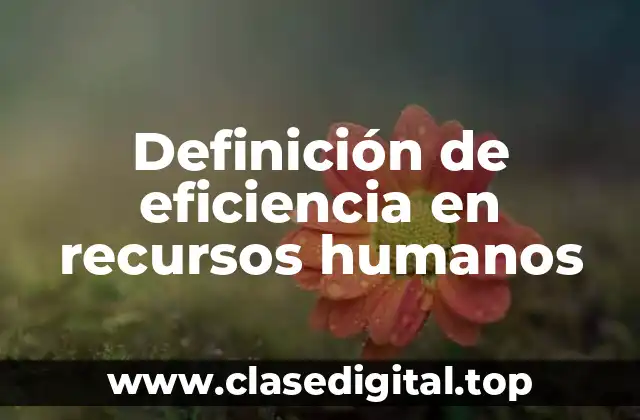 Definición de eficiencia en recursos humanos