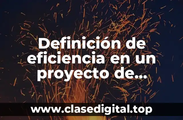 Definición de eficiencia en un proyecto de inversión