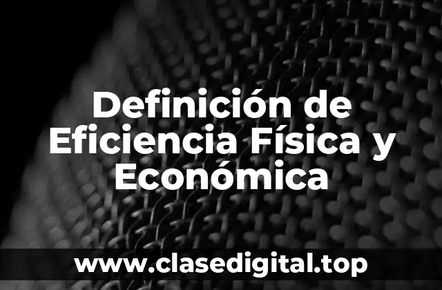 Definición de Eficiencia Física y Económica