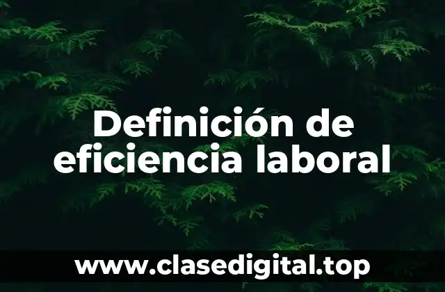 Definición de eficiencia laboral