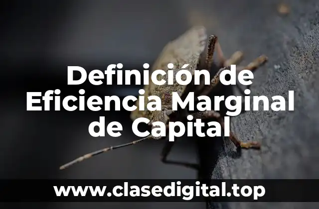 Definición de Eficiencia Marginal de Capital