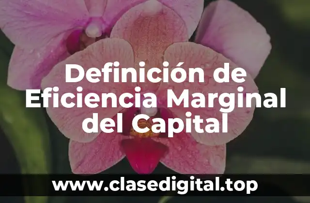 Definición de Eficiencia Marginal del Capital