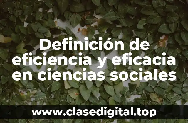 Definición de eficiencia y eficacia en ciencias sociales