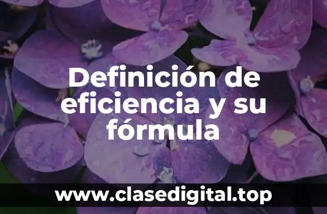 Definición de eficiencia y su fórmula