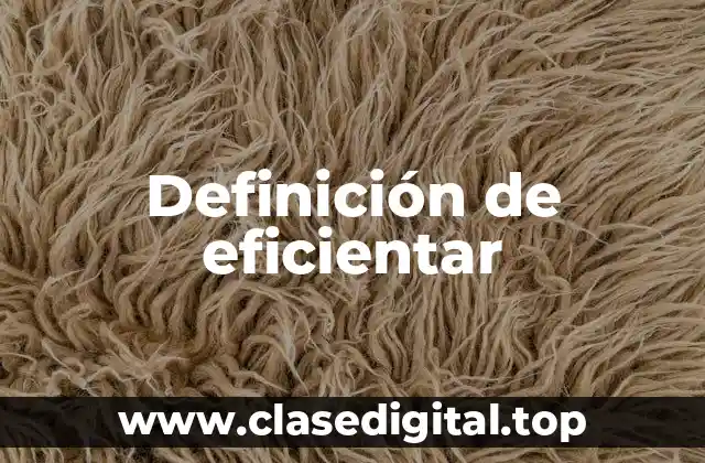 Definición de eficientar