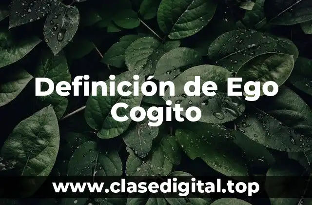 Definición de Ego Cogito