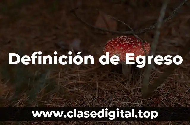 Definición de Egreso