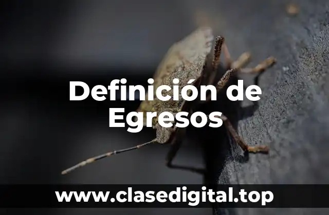 Definición de Egresos