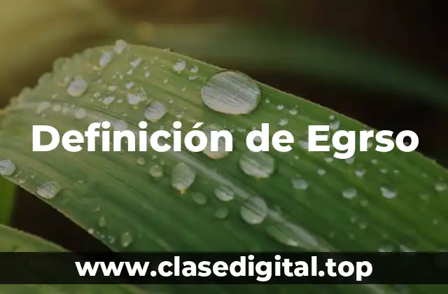 Definición de Egrso