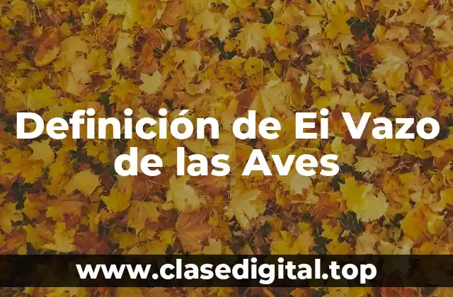 Definición de Ei Vazo de las Aves