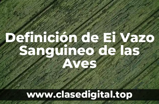 Definición de Ei Vazo Sanguineo de las Aves