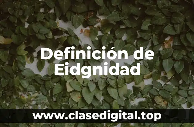 Definición de Eidgnidad