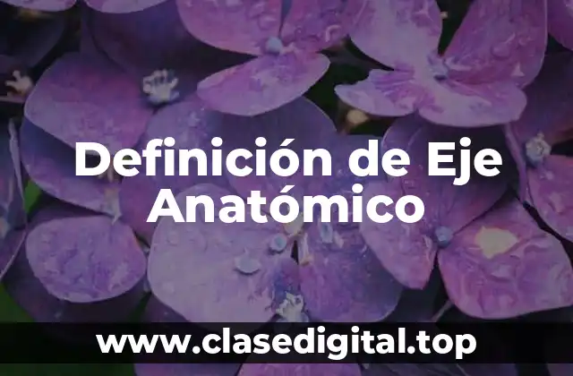 Definición de Eje Anatómico