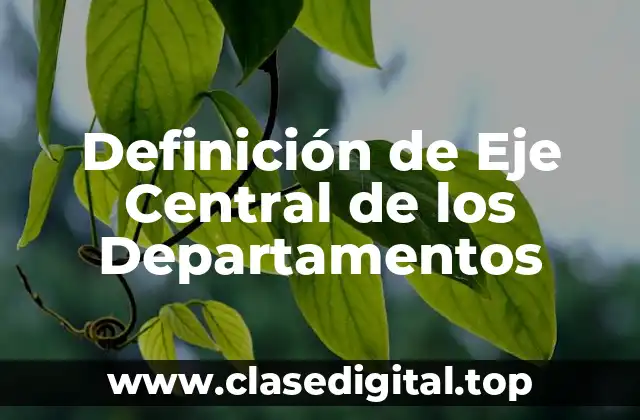 Definición de Eje Central de los Departamentos