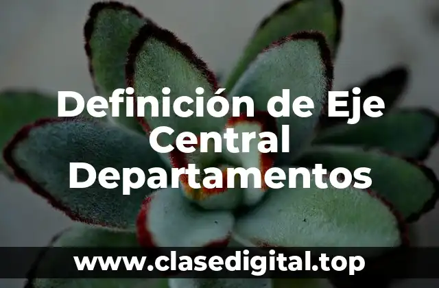 Definición de Eje Central Departamentos