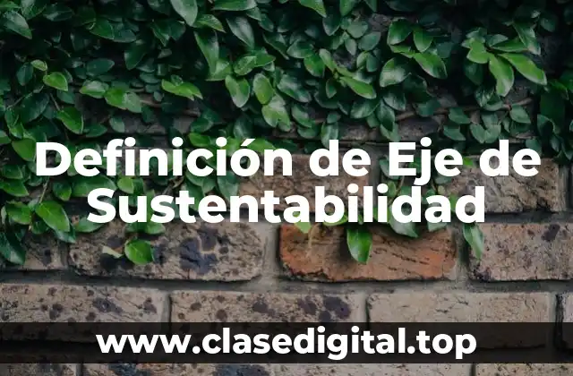 Definición de Eje de Sustentabilidad