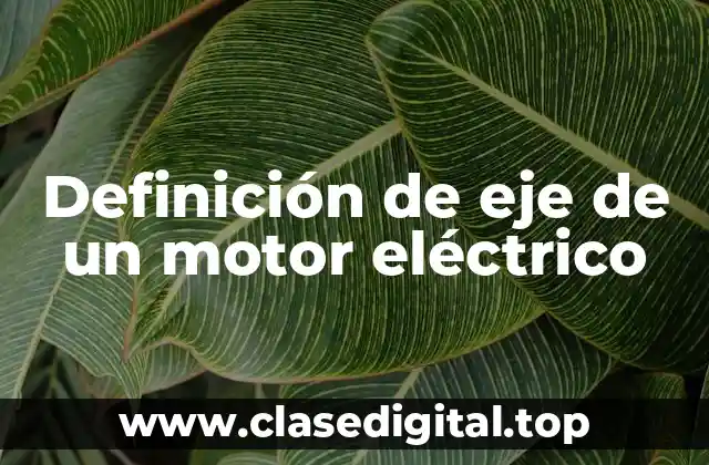 Definición de eje de un motor eléctrico