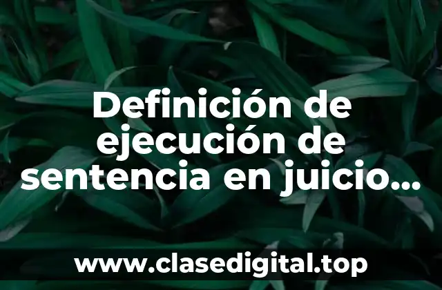 Definición de ejecución de sentencia en juicio mercantil