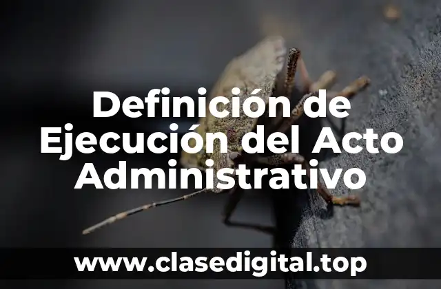 Definición de Ejecución del Acto Administrativo