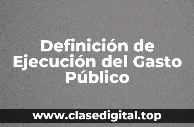 Definición de Ejecución del Gasto Público
