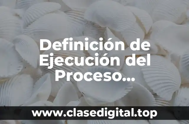 Definición de Ejecución del Proceso Administrativo