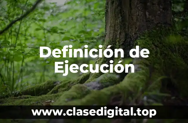 📗 Definición técnica de ejecución