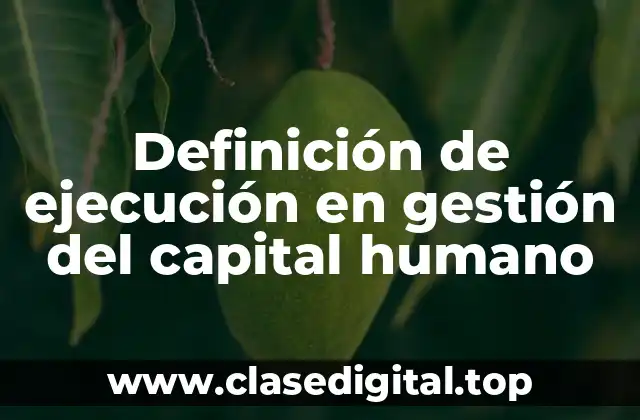 Definición de ejecución en gestión del capital humano