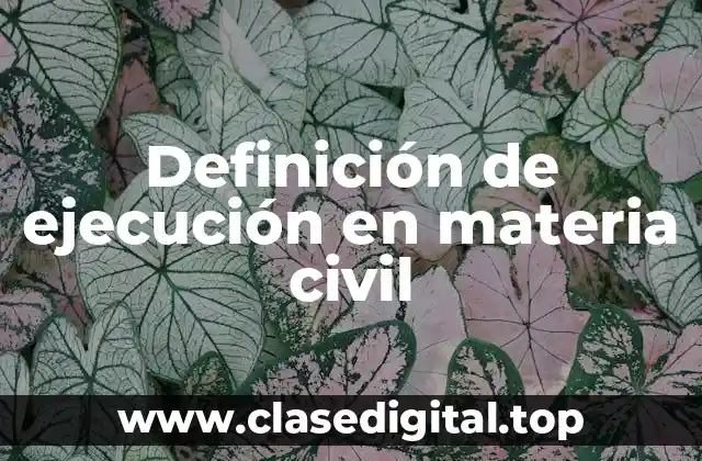 Definición de ejecución en materia civil