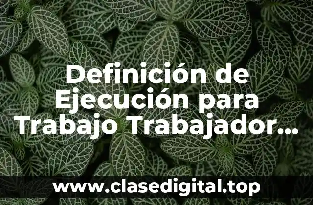 Definición de Ejecución para Trabajo Trabajador Social